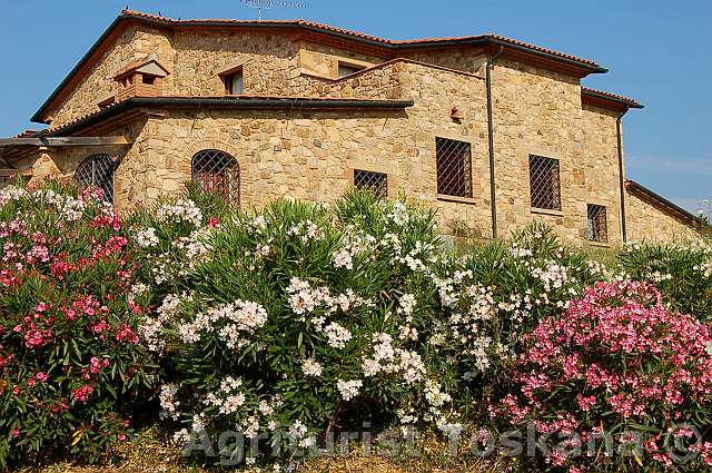 podere 024
